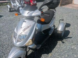 PGO TR 3 50 DREIRAD ROLLER TRIKE SCOOTER RÜCKWÄRTSGANG 45ER