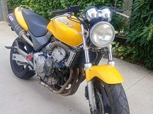 HONDA HORNET GIALLO