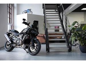 HARLEY-DAVIDSON 1250 S PAN AMERICA SPECIAL | TOP ZUSTAND |