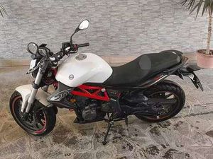 BENELLI BN 302 BIANCO