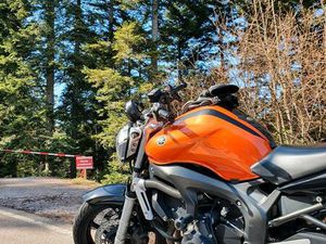 YAMAHA FZ6 MOTORRAD 98 PS