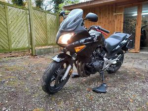 HONDA CBF 600 PC38 (TIEFERGELEGT) ++ VOLLSTÄNDIGES KOFFERSET ++