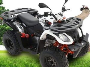 QUAD KAYO AU200 T3B KOLA 10'' 260-310MM GAŹNIK JK PZ30 176CM3 BIEGI STAL