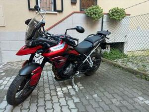 TRIUMPH TIGER 900 GT PRO - 2022
