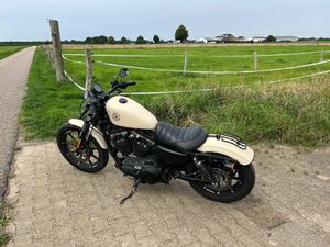 HARLEY-DAVIDSON 883 IRON (SPORTSTER)
