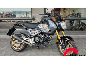 VENDO HONDA MSX 125 GROM (2021 - 25) USATA A VICENZA (CODICE 9804646) - MOTO.IT