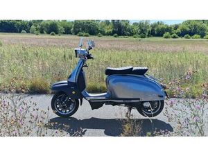 ROYAL ALLOY TG 300 S,SONDERMOD. NATURAL METAL (RESTGARANTIE)