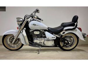 SUZUKI INTRUDER C800 HERBSTANGEBOT!