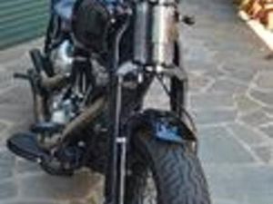 HARLEY-DAVIDSON SOFTAIL CROSS BONES - 2011