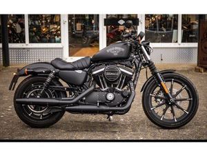 HARLEY-DAVIDSON IRON 883
