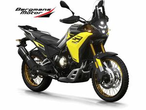 VOGE DS 800 RALLY -25 • 2025