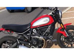 SCRAMBLER 800 ICON (2023 - 25)