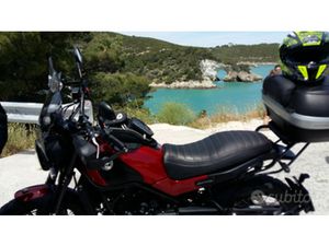 BENELLI LEONCINO TRAIL 500 2019