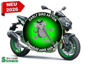 Z H2 SE / ZH2SE NAKED BIKE