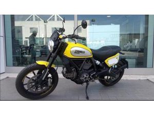 VENDO DUCATI SCRAMBLER 800 FLAT TRACK PRO (2016 - 17) USATA A ANCONA (CODICE 9808367) - MOTO.IT