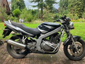 SUZUKI GS 500 NUR 2.300 KM