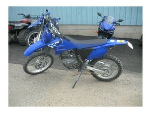 2025 YAMAHA TTR230S