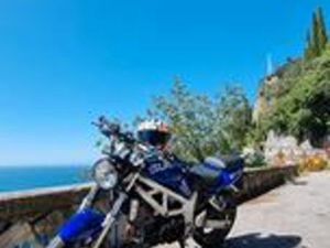 SUZUKI SV 650 - 2000