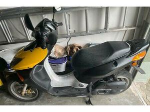 HONDA X8R S ROLLER 50 CCM TOP