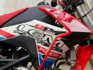 LEM PITBIKE RF160 CC 2021