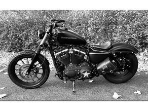 HARLEY-DAVIDSON 5 HD SPORTSTER 883 IRON - THUNDERBIKE