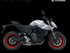 SUZUKI GSX8S, ++HERBST-AKTION++