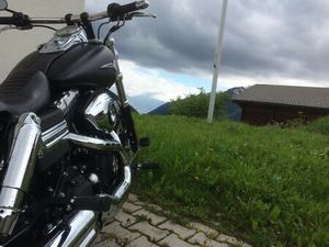 FXDF DYNA FAT BOB