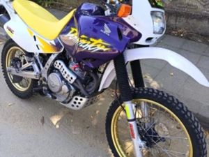 HONDA NX DOMINATOR650