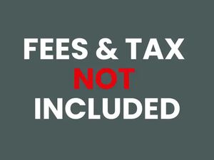 2025 SUZUKI GSX-R600 BLACK