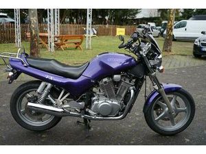 SUZUKI VX800