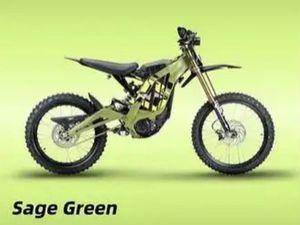 2025 SURRON LIGHT BEE X