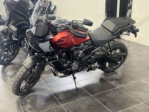 2025 HARLEY-DAVIDSON PAN AMERICA 1250 SPECIAL