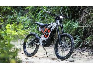 2025 SURRON LIGHT BEE X