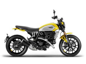 2025 DUCATI SCRAMBLER ICON YELLOW