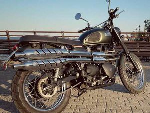 TRIUMPH SCRAMBLER BUD EKINS VERDE