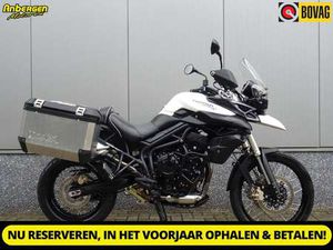TRIUMPH TIGER 800 XC ABS WIT