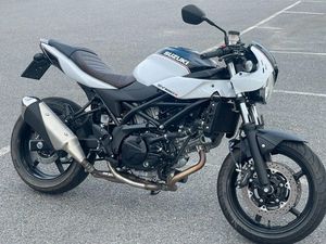 SUZUKI SV650X • 2019
