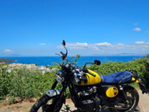 ROYAL ENFIELD BEAR 650 WILD HONEY YELLOW