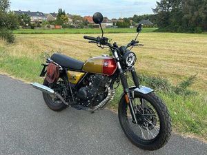 BRIXTON CROMWELL 250