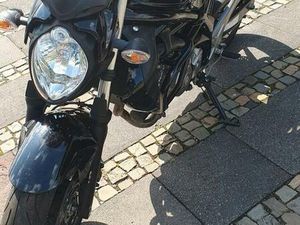 SUZUKI GLADIUS (SFV650A)