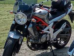 SUZUKI GLADIUS SV650