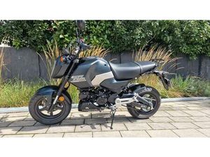 HONDA MSX 125 GROM EZ 09/25 WIE NEU, KNAPP 500 KM