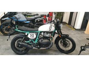 ROYAL ENFIELD BEAR 650 AM LAGER !!!