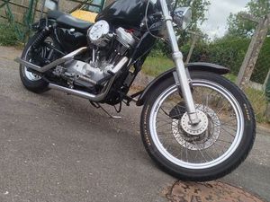 HARLEY 883 SPORSTER
