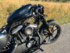 HARLEY DAVIDSON SPORSTER CUSTOM XL 883 IRON
