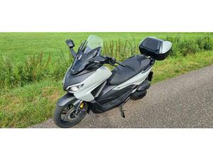 HONDA FORZA 125 MJ 2024 SCHECKHEFT