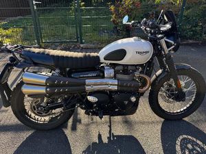 TRIUMPH STREET SCRAMBLER 900 - EZ 2019 - MIKROBLINKER - HECKUMBAU
