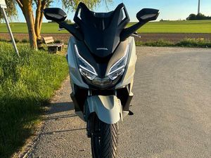 HONDA FORZA 125 ROLLER TOP ZUSTAND, GARAGENFAHRZEUG