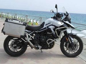 TRIUMPH TIGER 900 GT BIANCO