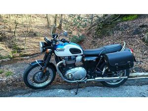 VENDO TRIUMPH BONNEVILLE T100 (2017 - 20) USATA A LUINO (CODICE 9828516) - MOTO.IT